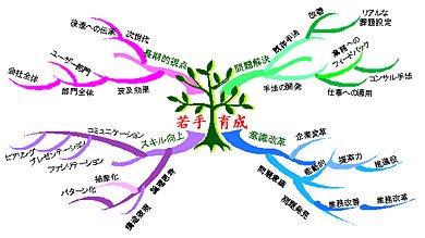 ≪図1≫ 若手育成のマインドマップ