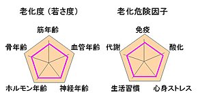 老化度（若さ度）と老化危険因子