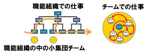 図1 職能組織での仕事とチームでの仕事